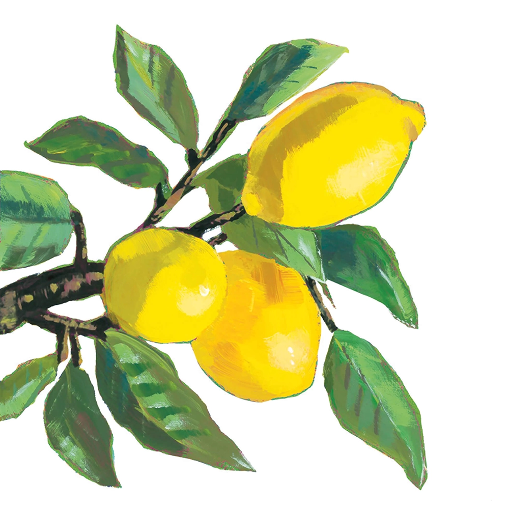 5001-Guardanapos-Lemon-Musée