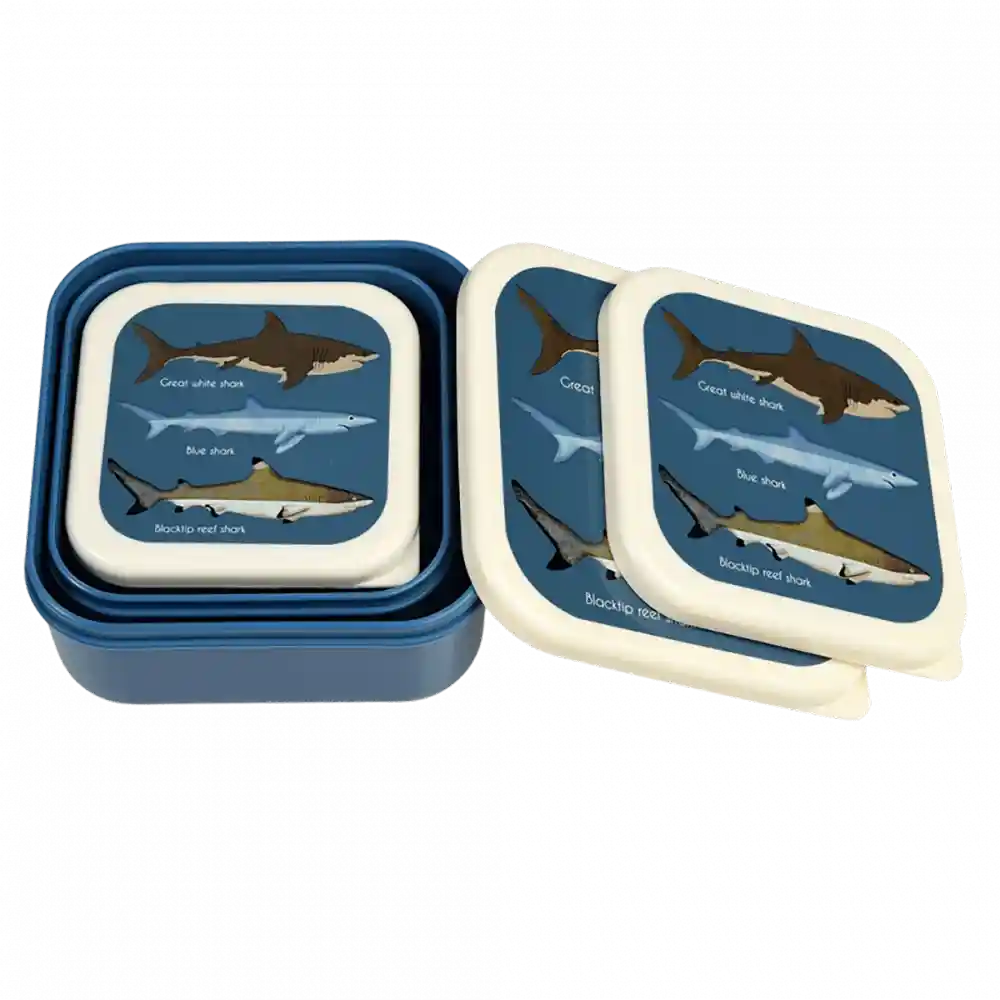 5073-Lancheiras-Tubaroes-Conjunto-3-Caixas-4